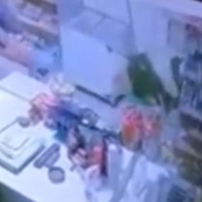 Düzce'de bakkala dana girdi