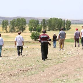 Çorum'da köylülerin 'aslan' korkusu devam ediyor