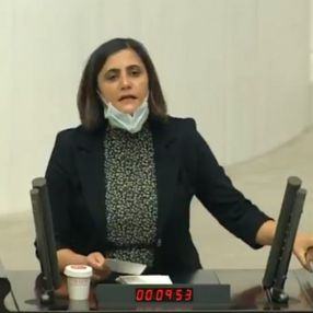 HDP, polis sayısından şikayetçi