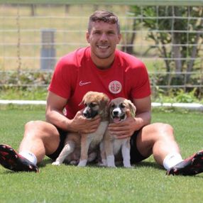 Antalyaspor, sitede doğan köpeklere sahip çıktı