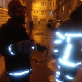Bursa'da eve tırmanan yılanı itfaiye yakaladı