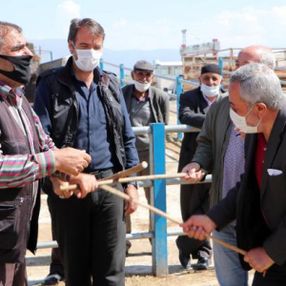 Hayvan pazarlarında yeni dönem: Sopalı pazarlık