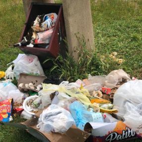 İstanbul'daki iki sahil çöplüğe döndü