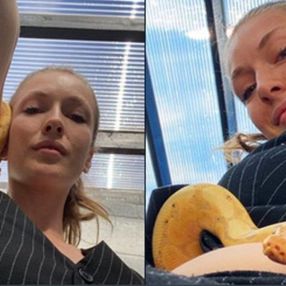 Yasemin Allen, pitonu vücudunda gezdirdi