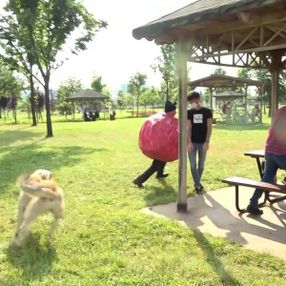Koronavirüs kılığına giren tiyatrocuyu köpek kovaladı