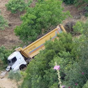İzmir'de kaplumbağayı kurtardı, aracı uçuruma yuvarlandı