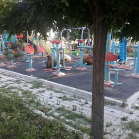 Tekirdağ'da büyükbaş hayvanlar parkı işgal etti