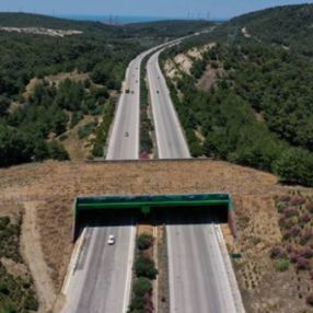 İzmir-Çeşme otoyolundaki ekolojik köprü tamamlandı