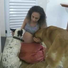 Brezilya’da ikiz bebekler köpek saldırısında öldü
