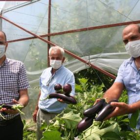 Mersin'de okul bahçesinde organik tarım yapıldı