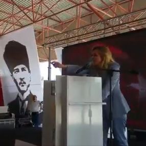 Aylin Cesur'dan üslup skandalı