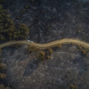 Çanakkale'deki orman yangınında son durum