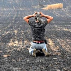 Çanakkale yangınındaki fotoğrafın hikayesi ortaya çıktı