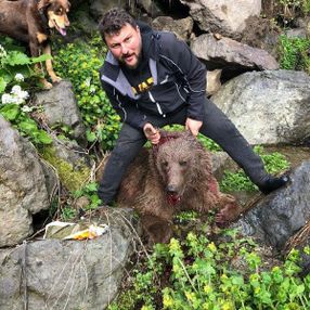 Artvin’de yavru ayıyı vurup, köpekleri saldı