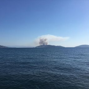 İstanbul Heybeliada'da orman yangını