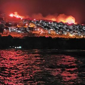 İzmir'de makilik alanda yangın