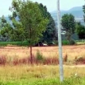 Bolu'da ata tecavüz etti
