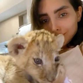 İranlı modele hediye edilen aslan, Gaziantep'te