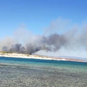 İzmir'deki orman yangınında zarar gören alan soğutuluyor