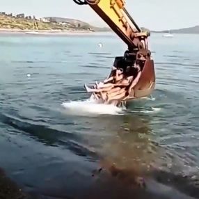 Bodrum’da tehlikeli deniz keyfi