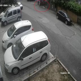 Maltepe’de iki köpeği güpegündüz çaldı