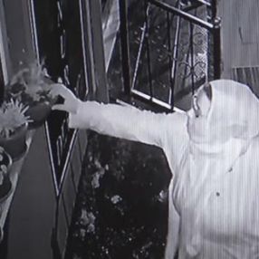 Cam korkuluklardan duran saksıdaki çiçeği çaldı
