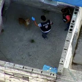 Adana’daki çete operasyonunda polise köpek saldırdı