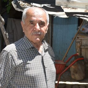 Malatya'da kesilen büyükbaş hayvan hastalıklı çıktı