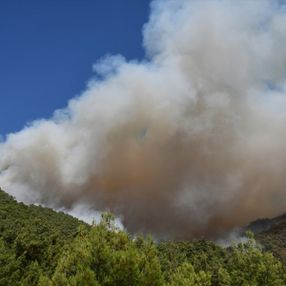 Manisa'da orman yangını yerleşimlere ulaştı