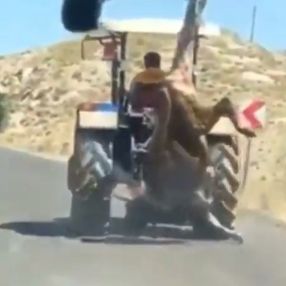 Sivas'ta kurbanlığa işkence cezasız kalmadı