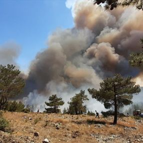 Ege ormanları alevlere teslim oldu
