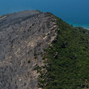 İzmir'deki orman yangınından geriye kalan