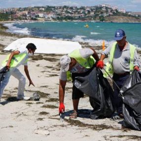 Tekirdağ'ın tatil beldesinde 500 ton çöp toplandı