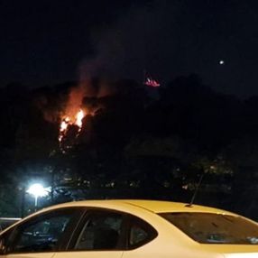 Emirgan Korusu'nda yangın çıktı