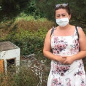 Çekmeköy'de 27 köpek ortadan kayboldu