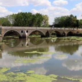 Tunca Nehri'ndeki yeşil adacıklar tedirgin etti