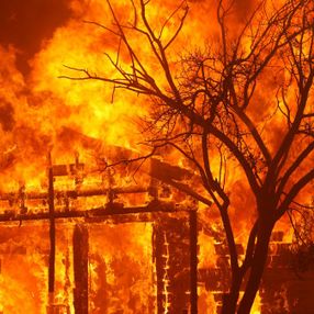 California'da yangınlar 625'ten fazla noktada sürüyor