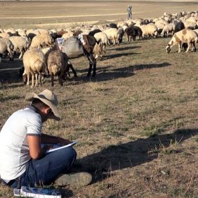 Çobanlık yaparken üniversiteye hazırlanan Vanlı Muhammet, tıp fakültesini kazandı
