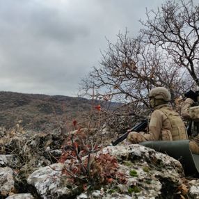 Mardin'de Yıldırım-8 Savur Operasyonu başladı