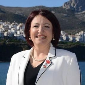 İzmir'de ağaç katliamı yaptıran CHP'li başkan: İlkay Girgin Erdoğan