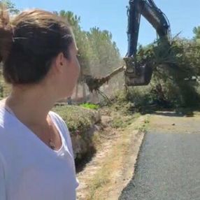 Karaburun Belediyesi ağaç katliamına bahane uydurdu