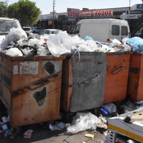 Çöplerin toplanmadığı Çiğli’de esnaf fare kovaladı