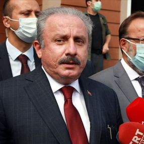 TBMM Başkanı Mustafa Şentop: İdam cezasının bulunması kanaatindeyim