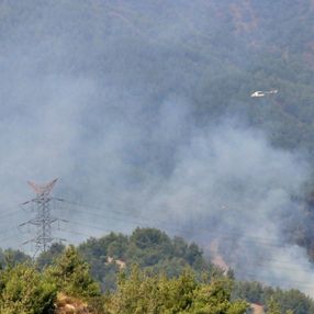 Hatay'da 5 gündür süren orman yangını kontrol altına alındı