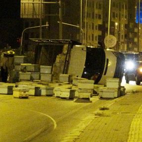 Mersin´de kovanlar ve kızgın arılar yolu trafiğe kapadı