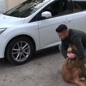 Kahramanmaraş'ta sahibine kavuşan köpeğin sevinci