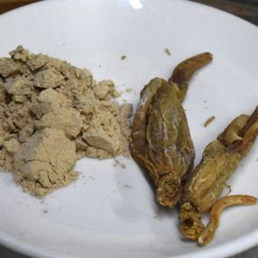 Bağışıklığı güçlendiren 'ginseng', kilosu 2 bin liradan alıcı buluyor