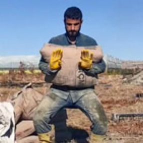 Batmanlı milli sporcu, asker harçlığı için inşaatta çalışıyor