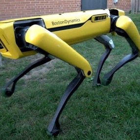 New York polisi robot köpek Spot’u test ediyor
