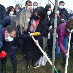 Pervin Buldan ve Ekrem İmamoğlu birlikte fidan dikti